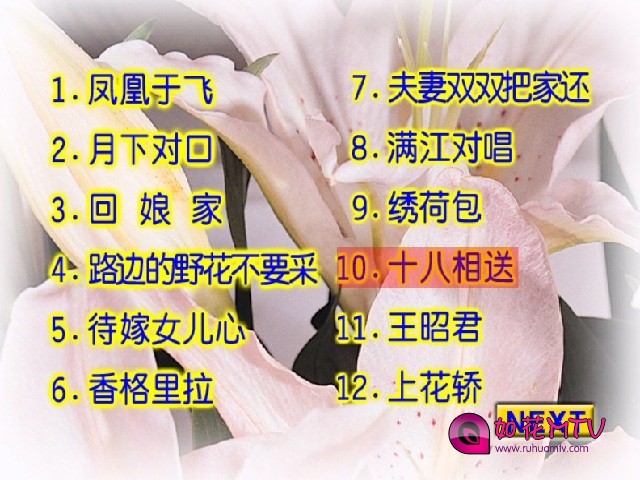 卓依婷__柔情小调a.jpg