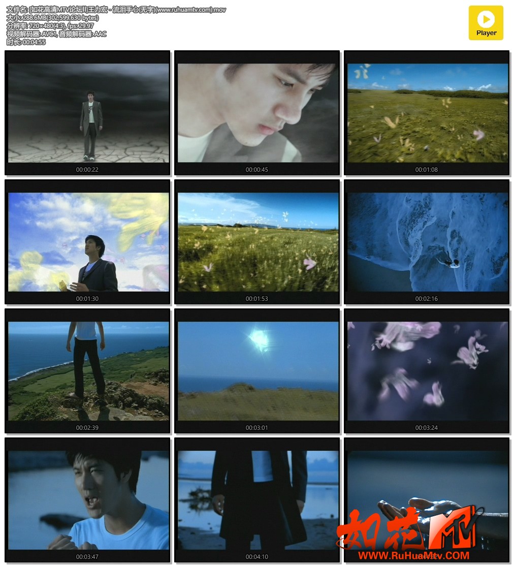 [如花高清MTV论坛Ⅱ]王力宏 - 流泪手心(无字)(www.ruhuamtv.com).mov.jpg