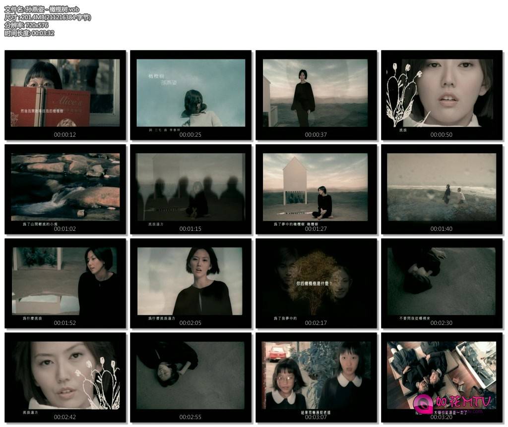 孙燕姿 - 橄榄树.vob.jpg