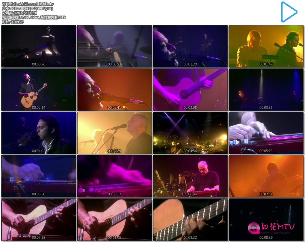 David.Gilmour.现场版.mkv.jpg