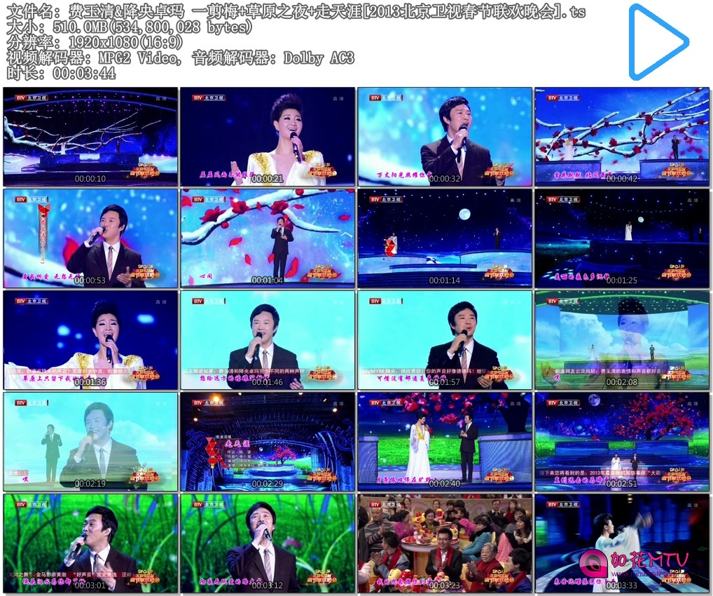 费玉清&amp;降央卓玛 一剪梅 草原之夜 走天涯[2013北京卫视春节联欢晚会].ts.jpg.jpg