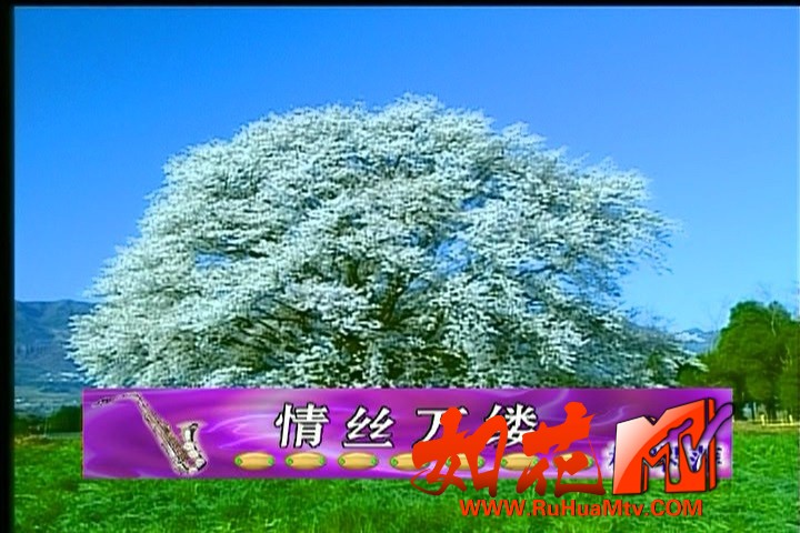 如花高清MTV论坛Ⅱ-林翠萍-[00_00_02][20210531-113204-1].jpg