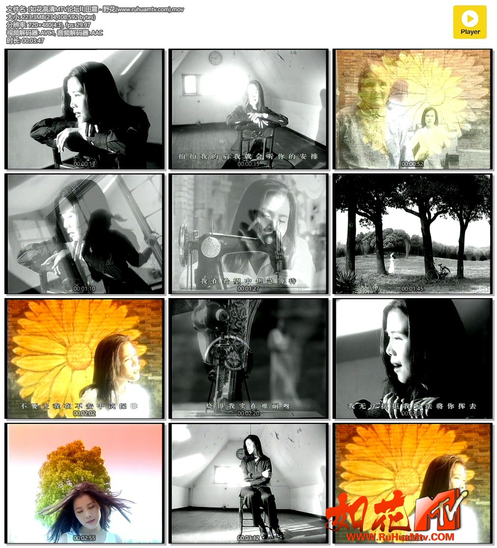 [如花高清MTV论坛Ⅱ]田震 - 野花(www.ruhuamtv.com).mov.jpg